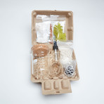 Beaker Terrarium Kit (Without Air Plant)