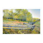 Aspens & Fence (16"W x 24"H x 1.5"D)