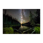 Lake Irene Night Skies (16"W x 24"H x 1.5"D)