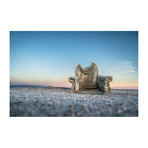 Salton Sea Chair (16"W x 24"H x 1.5"D)
