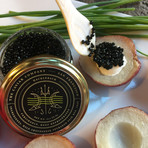 Wild Hackleback + Paddlefish