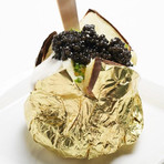 Wild Hackleback + Paddlefish