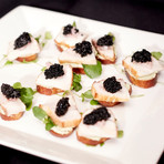 Wild Hackleback + Paddlefish