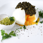 Wild Hackleback + Paddlefish