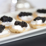 Wild Hackleback + Paddlefish