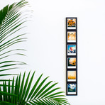 Polaroid // Set of 6 (White)