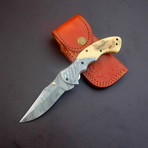 Liner Lock Folding Knife // VK6100