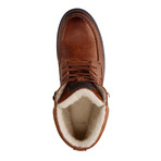 Kallax Shoe // Cognac (EUR: 41)