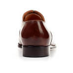 Stitched Cap-Toe Oxford // Marrone (US: 5)