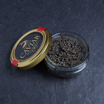 Sterlet Malossol Caviar (50g)