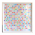 Damien Hirst // Mescaline // 2014