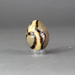 Septarian Egg Sculpture