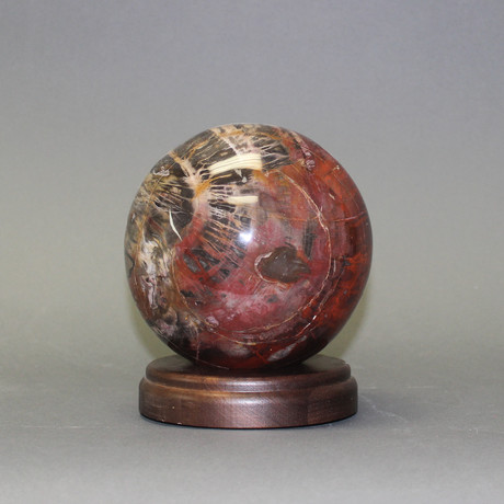 Petrified Wood Sphere (4.5")