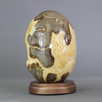 Septarian Egg Sculpture // 7.5"