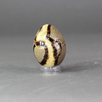 Septarian Egg Sculpture // 2.75"