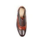 Tempo Wingtip Oxford // Dark Brown (UK: 9.5)