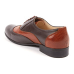 Tempo Wingtip Oxford // Dark Brown (UK: 9.5)