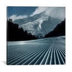 Ski Tracks // Adrian Borda (18"W x 18"H x 0.75"D)