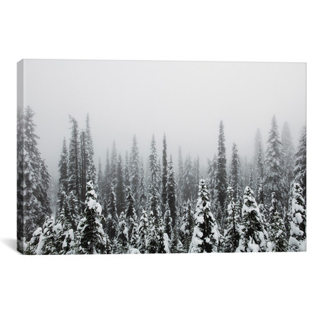 Trees Of Mt. Rainier // Christopher Kerksieck (26"W x 18"H x 0.75"D)