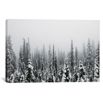 Trees Of Mt. Rainier // Christopher Kerksieck (26"W x 18"H x 0.75"D)
