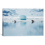 Seals Of The Glacier Lagoon // Christopher Kerksieck (18"W x 26"H x 0.75"D)