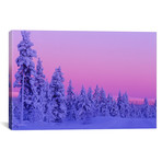 Magical Winter Sunset, Saariselka, Lapland, Finland // Daisy Gilardini (26"W x 18"H x 0.75"D)