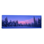 Snowy Winter Landscape, Dalarna, Svealand, Sweden (36"W x 12"H x 0.75"D)