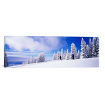 Steamboat Springs, Colorado (36"W x 12"H x 0.75"D)