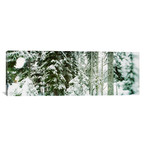 Snow Covered Evergreen Trees at Stevens Pass, Washington (36"W x 12"H x 0.75"D)