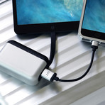 TopGum // USB Power Pack + Charging Dock (Silver)