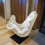 Mosasaur Partial Skeleton Display
