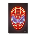 Spiderman (12"H x 8"W x 1.5"D)