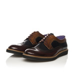 Dress Shoe // Bordeaux + Blue + Tabacco (Euro: 45)