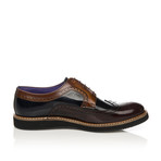 Dress Shoe // Bordeaux + Blue + Tabacco (Euro: 45)