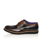 Dress Shoe // Bordeaux + Blue + Tabacco (Euro: 45)