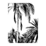 Palm Dreams Black & White (24"W x 3.8"H x 30"D)