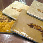 Fossil Coasters