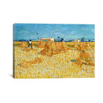 Harvest in Provence // Vincent van Gogh // 1888 (26"W x 18"H x 0.75"D)