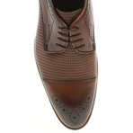 Embossed + Dotted Derby // Tobacco (Euro: 40)