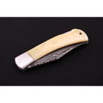 Pocket/Folding Lock Back Knife // FK2300