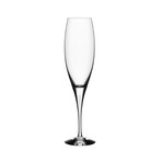 Intermezzo Satin Champagne Flute