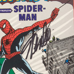 Spiderman: Amazing Fantasy #1 // Stan Lee Signed // Custom Frame