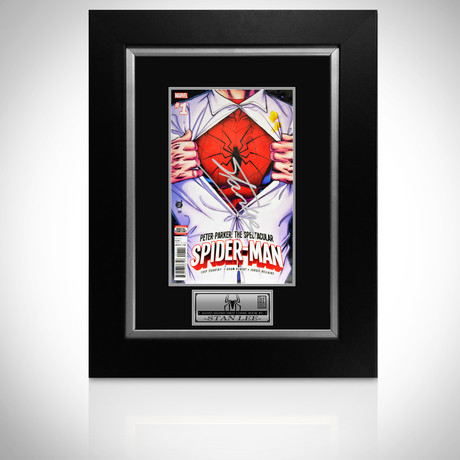 Spiderman: The Spectacular Spiderman #1 // Custom Frame