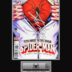 Spiderman: The Spectacular Spiderman #1 // Custom Frame