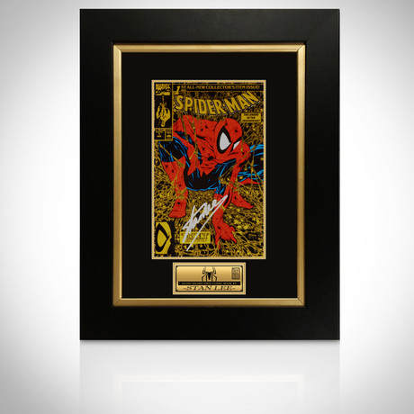 Spiderman Torment #1 // Stan Lee Signed // Custom Frame