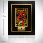 Spiderman Torment #1 // Stan Lee Signed // Custom Frame