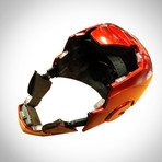 Iron Man Helmet // Signed By Stan Lee + Robert Downey Jr. // Custom Museum Display