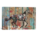 Source of Life: Wild Horse // Canvas Print (26"W x 18"H x 0.75"D)
