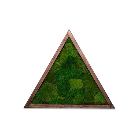 Triangle // Wall Garden