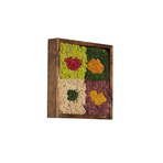 Square Kisses // Wall Garden